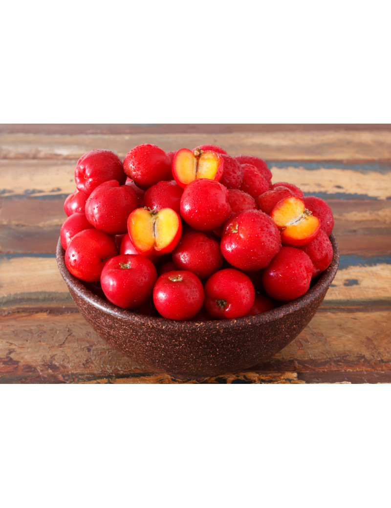 Acerola, 17 % Vitamin C, Maltodextrin